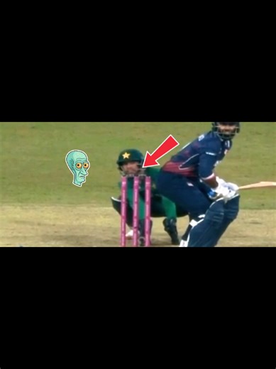 Funny Cricket Moments that Will Make You Laugh