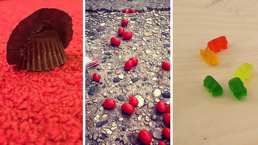 We found out if the 5-second rule is a real thing. | Insider Tech