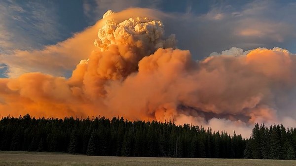 See thick, plumes of orange smoke produce large fire cloud from Grand Canyon wildfire