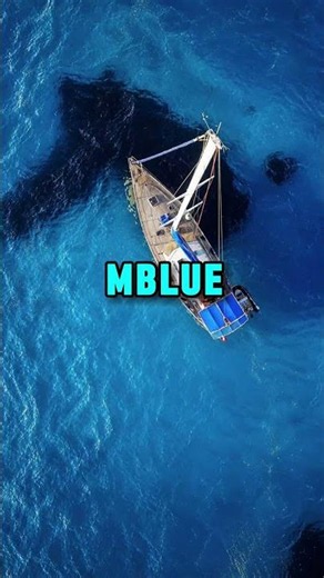 We love MLUE 💙 #om #shorts #marseille #mlue #shortvideo #football #soccer #views