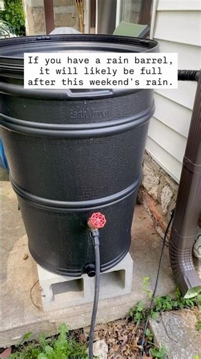 Contain the Rain ☔️