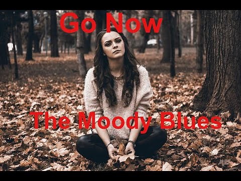 Go Now The Moody Blues -with lyrics