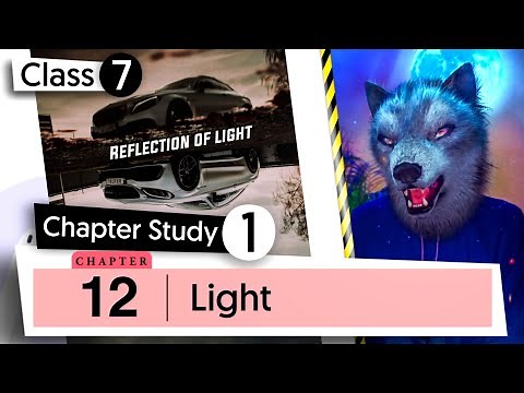 Chapter 12 | Light | Class 7 DAV Science | Chapter Study | (Part 1) @DAV GURU