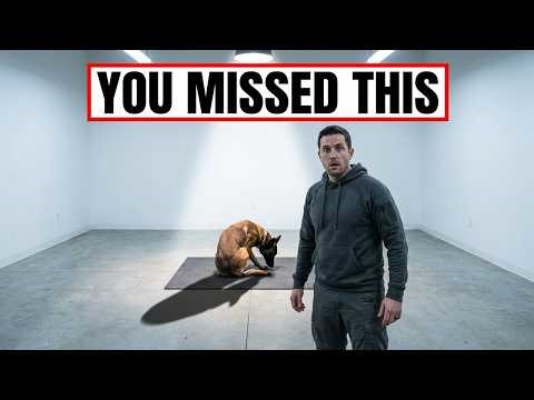 Your Belgian Malinois Has Already Stopped Trusting You — You Just Haven’t Seen It Yet