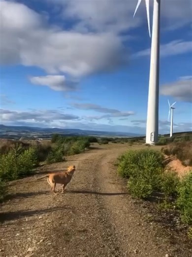 ‎ ‎ ‎ ‎ ‎‎ ‎ ‎ ‎ ‎‎ ‎ ‎ ‎ ‎‎ ‎ ‎ ‎ ‎‎ ‎ ‎ ‎ ‎‎ ‎ ‎ ‎ ‎‎ ‎ ‎ ‎ ‎‎ ‎ ‎ ‎ ‎‎ ‎ ‎ ‎ ‎‎ ‎ ‎ ‎ ‎‎ ‎ ‎ ‎ ‎‎ ‎ ‎ ‎ ‎‎ ‎ ‎ ‎ ‎‎ ‎ ‎ ‎ ‎ ‎ ‎ ‎‎ ‎ ‎ ‎ ‎‎ ‎ ‎ ‎ ‎‎ ‎ ‎ ‎ ‎‎ ‎ ‎ ‎ ‎‎ ‎ ‎ ‎ ‎‎ ‎ ‎ ‎ ‎‎ ‎ ‎ ‎ ‎‎ ‎ ‎ ‎ ‎‎ ‎ ‎ ‎ ‎‎ ‎ ‎ ‎ ‎‎ ‎ ‎ ‎ ‎‎ ‎ ‎ ‎ ‎‎ ‎ ‎ ‎ ‎ ‎ ‎ ‎‎ ‎ ‎ ‎ ‎‎ ‎ ‎ ‎ ‎‎ ‎ ‎ ‎ ‎‎ ‎ ‎ ‎ ‎‎ ‎ ‎ ‎ ‎‎ ‎ ‎ ‎ ‎‎ ‎ ‎ ‎ ‎‎ ‎ ‎ ‎ ‎‎ ‎ ‎ ‎ ‎‎ ‎ ‎ ‎ ‎‎ ‎ ‎ ‎ ‎‎ ‎ ‎ ‎ ‎‎ ‎ ‎ ‎ ‎ ‎ ‎ ‎‎ ‎ ‎ ‎ ‎‎ ‎ ‎ ‎ ‎‎ ‎ ‎ ‎ ‎‎ ‎ ‎ ‎ ‎‎ ‎ ‎ ‎ ‎‎ ‎ ‎ ‎ ‎‎ ‎ ‎ ‎ ‎‎ ‎ ‎ ‎ ‎‎ ‎ ‎ ‎ ‎‎ ‎ ‎ ‎ ‎‎ ‎ ‎ ‎ ‎‎ ‎ ‎ ‎ ‎‎ ‎ ‎ ‎ ‎ Kinc