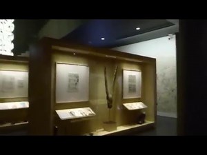 Discovering TinTin's World at the Herge Museum ,Belgium