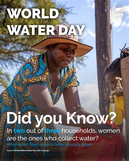 Africa's Water Crisis: Intersection of Conservation, Gender Equity, and Climate Resilience | African Wildlife Foundation posted on the topic | LinkedIn