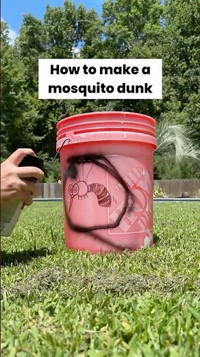 How to Get Rid of Mosquitos