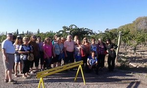 PROVINCIA DE MENDOZA: INFORMACIÓN GENERAL