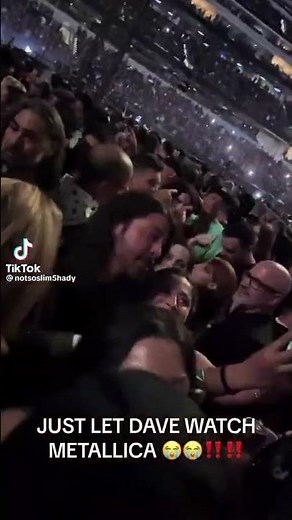 Dave Grohl at Metallica concert in LA