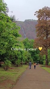 One of the tallest and most scenic waterfalls of Odisha. 📍Khandadhar waterfall, Sundargarh Odisha. Shot by I_narayan_das (insta id) There are very few falls in Odisha where you can see a large part of the fall, cascading down the hill top from a distance. That way, Khandadar is Sundargarh is truly unique. The #Khandadhar falls of #Sundergarh in Odisha is one of the state's most majestic falls. With a plunge height of 800 feet in a single drop, it's the second highest in the state and 12th in th