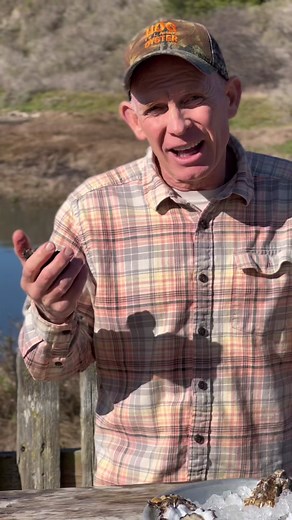 Hog Island Oyster Co. on TikTok