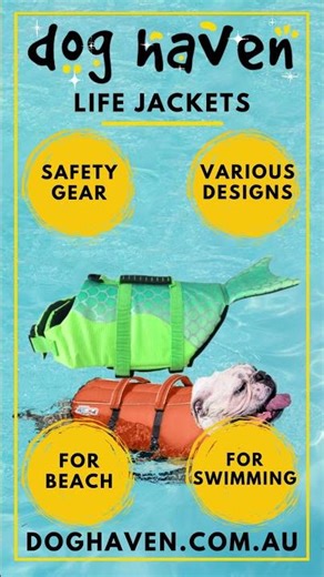 Dog’s Life Jackets are essential safety gear around water | doghaven.com.au