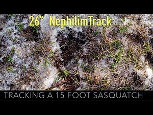 Tracking A Giant 15 Foot Nephilim Creature With A 26 Inch Foot May 2026 Cryptozoological Discoveries