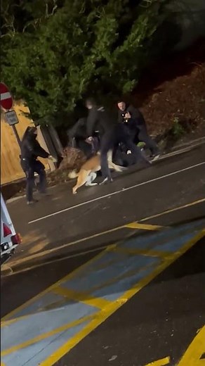 Moment Huntingdon train stabber tasered and arrested by armed police