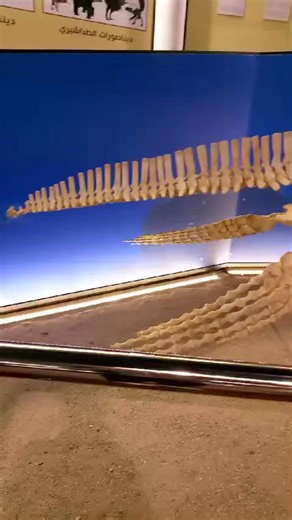 Svt Challal on Instagram: "Musée de Géoparc du M'Goun, Avenu Hassan II, AZILAL Logo Musée du Géoparc du M'Goun à Azilal Géoparc De M'goun #fossil #science La ville d'Azilal, capitale du Geoparc UNESCO du M'Goun, abrite un édifice d'une architecture unique et richement symbolique, le Musée du Geoparc. Le musée du Géoparc du Mgoun, Aujourd'hui en phase scénographique, est destiné à devenir la vitrine du patrimoine naturel, culturel et paysager du Géoparc. La région du Haut Atlas Central, qui a été