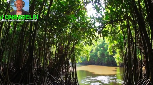 👤The Shadow AI Economy: Institutional Risks and the Underground Evolution of Workplace Intelligence Full Audio at https://podcasts.apple.com/us/podcast/the-hidden-economy-machine-customers-b2a-the-shadow/id1684415169?i=1000748466027 🚀 Welcome to a Special Double-Feature Deep Dive on AI Unraveled. Today, we expose the two "invisible" economies reshaping business in 2026. Externally, we are entering the era of Business-to-Agent (B2A), where your next customer is a piece of code that doesn't care