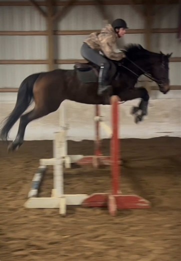 that’s what’s up | what's next what's that what's up