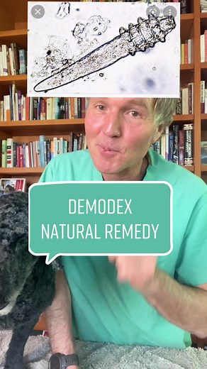 Natural Remedy for Demodex Mange #demodex #dogskin #doghairloss #teatr... | Tea Tree Oil