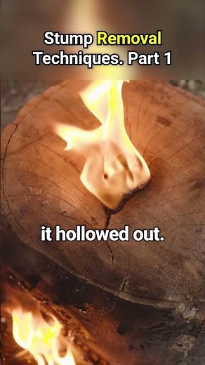 REMOVE Tree Stumps FAST with This Simple Gasoline Method