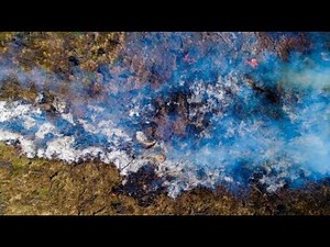 Biofuels may not be as green and sustainable as you think