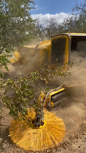 128 reactions | The E7000C with ESweeps is the most efficient conditioner on the market. Sweep a 16.5’ width and condition at the same time eliminating your sweepers for your closing sweeping pass. This results in cleaner rows, better turnouts, & higher efficiencies for a faster harvest! Let us know and we can bring this to you to see for yourself this season! #exactcorp #thetruesolution #californiafarming #almondfarming #E7000C | exact_corp | Facebook