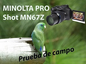 Minolta pro Shot MN67 Z - prueba de campo