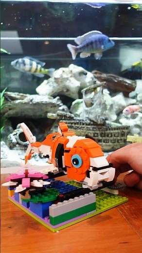 How to build LEGO animals like a Pro! #lego #animals #shorts