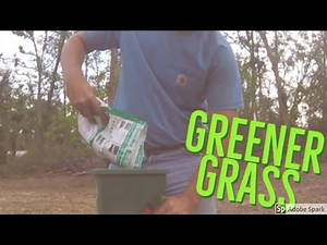 Planting Centipede Grass Seed