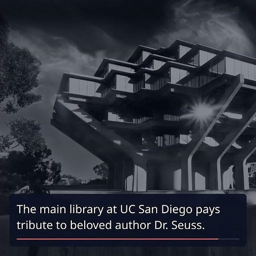 Explore 15 Stunning Libraries Around the World that Inspire Book Lovers