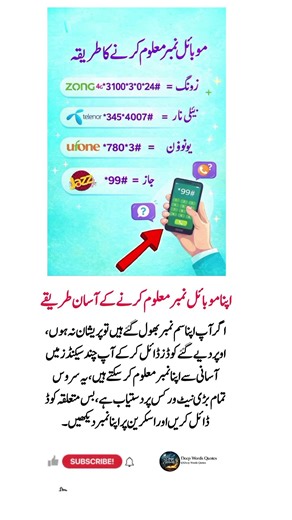 Check Any SIM Number in 5 Seconds | All Networks Guide