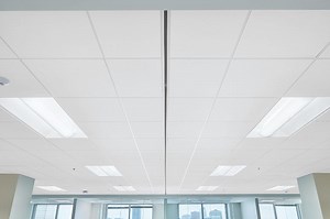 Commercial Acoustic Solutions | Furniture | Pure Office Solutions