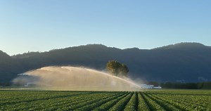 First Nations seek return of land housing well-known B.C. potato farm