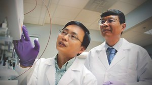 UF cancer drug receives FDA clearance for clinical trials »  College of Pharmacy » University of Florida