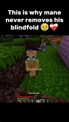 ManePear litol Lieon incident ✌️❤️‍🩹 Minecraft Unstable Smp #shorts #memes