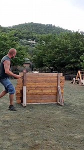 Bull Terrier Exercise: Strengthen Front & Hind Legs with the Bar Jump #bullterrier | Working Bull Terriers Kennel