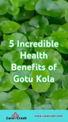 5 Incredible Health Benefits of Gotu Kola | #carecrash