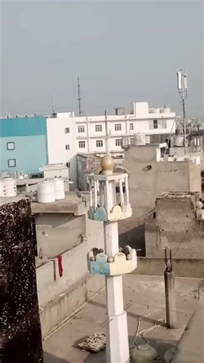 sajni o pyar panchhi dur talk le jai#short#vedio#viral#trendingshorts 😔😔😔😲🥺🥺🥺😔😔💔💔❤️‍🩹❤️‍🩹