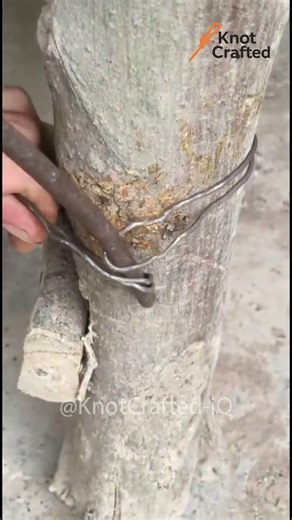 The Swift Loop Tie #adventureknots