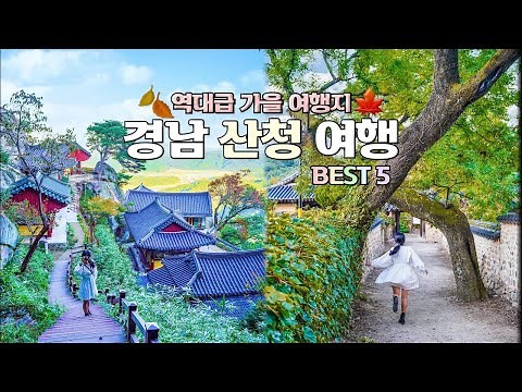 경남 여행 브이로그, 산청 여행 코스 가볼만한곳 BEST5🧡 동의보감촌, 수선사, 정취암, 남사예담촌