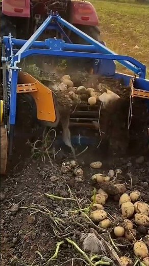 midern machine to help farmers harvest potatoes #shorts
