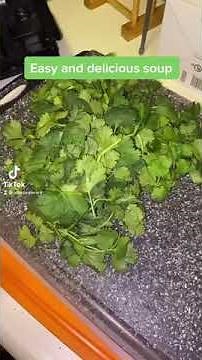 Easy cilantro/carrot soup tiktok video