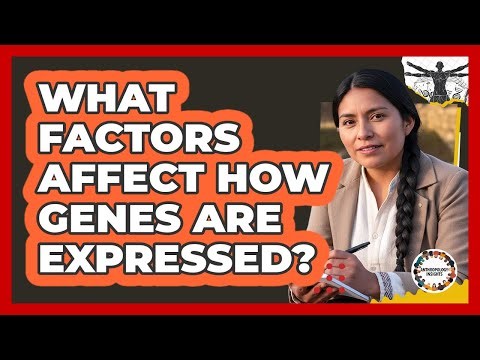 What Factors Affect How Genes Are Expressed?