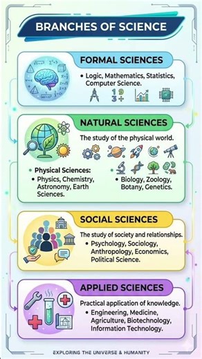 Branches of Science: An Overview of the Four Main Categories#science #shorts