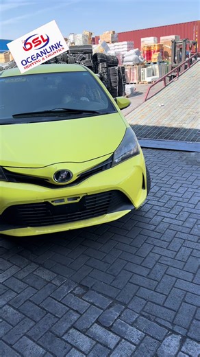 Efficient Shipping and Delivery by Ocean Link