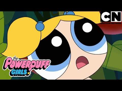 Quando o perigo coloca as heroínas à prova | As Meninas Superpoderosas | Cartoon Network 🇧🇷