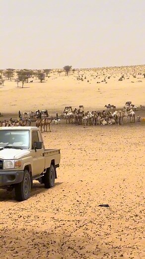 Dans la beauté des dunes | TOUBOU DU MONDE