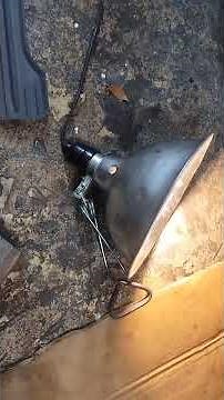 how to remove Ford's fuel line clip's at the fuel tank
