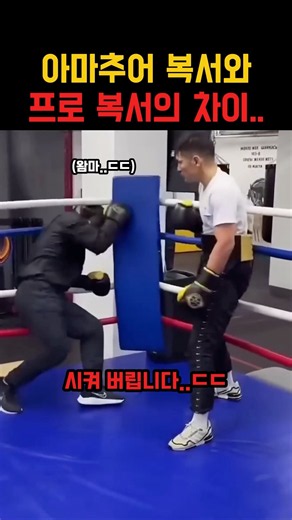 아마추어 복서와 프로 복서의 차이점..