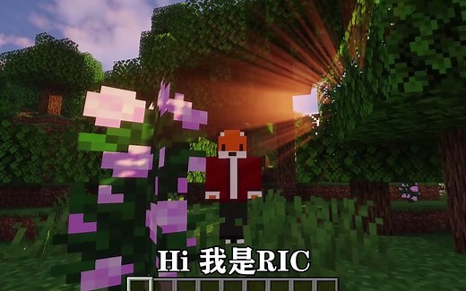 我的世界Java电脑版怎么下载，什么是java版，国家版